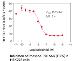 THUNDER™ Phospho-ERK1/2 (T202/Y204) TR-FRET Cell Signaling Assay Kit
