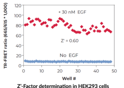 THUNDER™ Phospho-ERK1/2 (T202/Y204) TR-FRET Cell Signaling Assay Kit