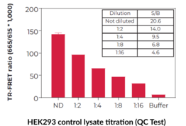 THUNDER™ Phospho-ERK1/2 (T202/Y204) TR-FRET Cell Signaling Assay Kit