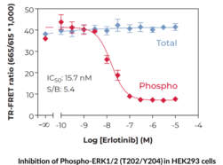 THUNDER™ Total ERK1/2 TR-FRET Cell Signaling Assay Kit