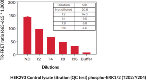 THUNDER™ Phospho-ERK1/2 (T202/Y204) + Total ERK1/2 TR-FRET Cell Signaling Assay Kit