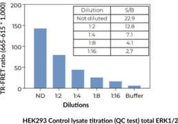 THUNDER™ Phospho-ERK1/2 (T202/Y204) + Total ERK1/2 TR-FRET Cell Signaling Assay Kit