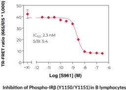 THUNDER™ Phospho-Insulin Receptor β (Y1150/Y1151) TR-FRET Cell Signaling Assay Kit
