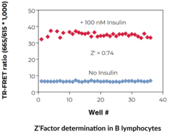 THUNDER™ Phospho-Insulin Receptor β (Y1150/Y1151) TR-FRET Cell Signaling Assay Kit