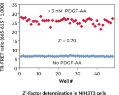 THUNDER™ Phospho-AKT pan (T308) TR-FRET Cell Signaling Assay Kit