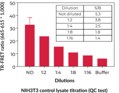 THUNDER™ Phospho-AKT pan (T308) TR-FRET Cell Signaling Assay Kit