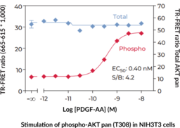 THUNDER™ Phospho-AKT pan (T308) + Total AKT pan TR-FRET Cell Signaling Assay Kit