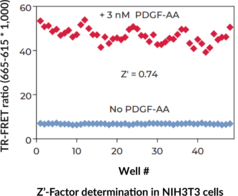 THUNDER™ Phospho-AKT pan (S473) TR-FRET Cell Signaling Assay Kit