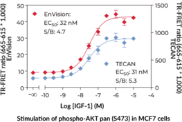 THUNDER™ Phospho-AKT pan (S473) TR-FRET Cell Signaling Assay Kit