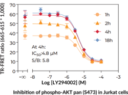 THUNDER™ Phospho-AKT pan (S473) TR-FRET Cell Signaling Assay Kit