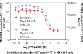 THUNDER™ Phospho-AKT pan (S473) TR-FRET Cell Signaling Assay Kit