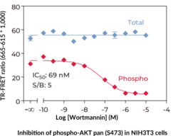 THUNDER™ Phospho-AKT pan (S473) + Total AKT pan TR-FRET Cell Signaling Assay Kit
