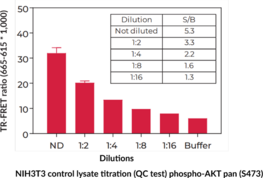 THUNDER™ Phospho-AKT pan (S473) + Total AKT pan TR-FRET Cell Signaling Assay Kit