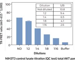 THUNDER™ Phospho-AKT pan (S473) + Total AKT pan TR-FRET Cell Signaling Assay Kit