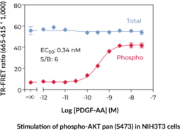 THUNDER™ Total AKT pan TR-FRET Cell Signaling Assay Kit