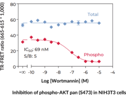THUNDER™ Total AKT pan TR-FRET Cell Signaling Assay Kit