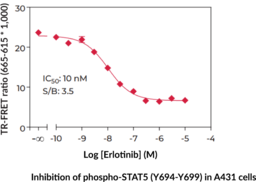 THUNDER™ Phospho-STAT5 (Y694/Y699) TR-FRET Cell Signaling Assay Kit