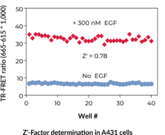 THUNDER™ Phospho-STAT5 (Y694/Y699) TR-FRET Cell Signaling Assay Kit