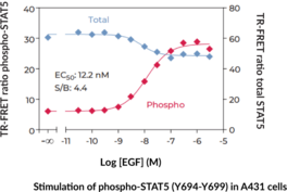 THUNDER™ Total STAT5 TR-FRET Cell Signaling Assay Kit (Signal Transducer and Activator of Transcription 5)
