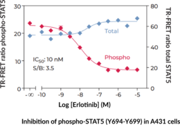 THUNDER™ Total STAT5 TR-FRET Cell Signaling Assay Kit