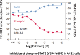 THUNDER™ Phospho-STAT5 (Y694/Y699) + Total STAT5 TR-FRET Cell Signaling Assay Kit