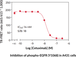 THUNDER™ Phospho-EGFR (Y1068) TR-FRET Cell Signaling Assay Kit