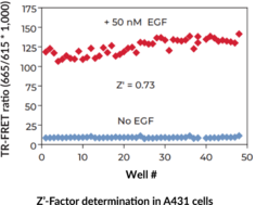 THUNDER™ Phospho-EGFR (Y1068) TR-FRET Cell Signaling Assay Kit