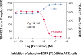 THUNDER™ Phospho-EGFR (Y1068) + Total EGFR TR-FRET Cell Signaling Assay Kit