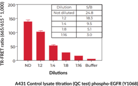 THUNDER™ Phospho-EGFR (Y1068) + Total EGFR TR-FRET Cell Signaling Assay Kit