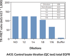 THUNDER™ Phospho-EGFR (Y1068) + Total EGFR TR-FRET Cell Signaling Assay Kit