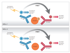 THUNDER™ Phospho-EGFR (Y1068) + Total EGFR TR-FRET Cell Signaling Assay Kit
