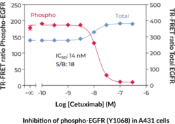 THUNDER™ Total EGFR TR-FRET Cell Signaling Assay Kit