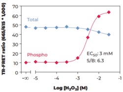 THUNDER™ Phospho-SLP-76 (S376) + Total SLP-76 TR-FRET Cell Signaling Assay Kit (LCP2, Lymphocyte Cytosolic Protein 2, SH2 Domain-containing Leukocyte Protein of 76 kDa)