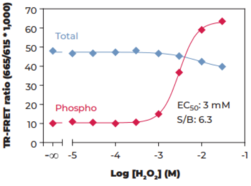 THUNDER™ Total SLP-76 TR-FRET Cell Signaling Assay Kit (LCP2, Lymphocyte Cytosolic Protein 2, SH2 Domain-containing Leukocyte Protein of 76 kDa)