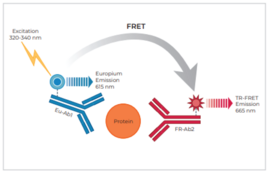 THUNDER™ Total SLP-76 TR-FRET Cell Signaling Assay Kit