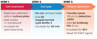 THUNDER™ Total SLP-76 TR-FRET Cell Signaling Assay Kit