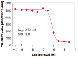 THUNDER™ Phospho-4EBP1 (T37/T46) TR-FRET Cell Signaling Assay Kit (eIF4E-binding Protein 1, PHAS-I, Phosphorylated Heat- and Acid-Stable Protein Regulated by Insulin 1)