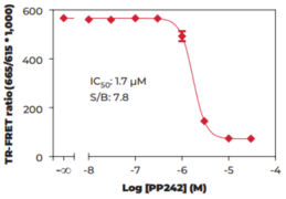 THUNDER™ Phospho-4EBP1 (T37/T46) TR-FRET Cell Signaling Assay Kit