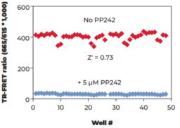 THUNDER™ Phospho-4EBP1 (T37/T46) TR-FRET Cell Signaling Assay Kit