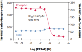 THUNDER™ Phospho-4EBP1 (T37/T46) + Total 4EBP1 TR-FRET Cell Signaling Assay Kit (eIF4E-binding Protein 1, PHAS-I, Phosphorylated Heat- and Acid-Stable Protein Regulated by Insulin 1)
