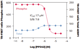 THUNDER™ Phospho-4EBP1 (T37/T46) + Total 4EBP1 TR-FRET Cell Signaling Assay Kit