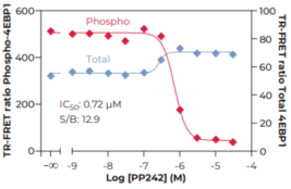 THUNDER™ Total 4EBP1 TR-FRET Cell Signaling Assay Kit (
eIF4E-binding Protein 1, PHAS-I, Phosphorylated Heat- and Acid-Stable Protein Regulated by Insulin 1)