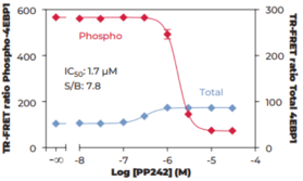 THUNDER™ Total 4EBP1 TR-FRET Cell Signaling Assay Kit