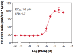 THUNDER™ Phospho-BAD (S112) TR-FRET Cell Signaling Assay Kit (Bvl-associated Agonist of Cell Death, Bcl-xL/Bcl-2-associated Death Promoter)