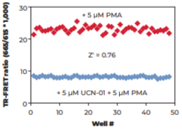 THUNDER™ Phospho-BAD (S112) TR-FRET Cell Signaling Assay Kit