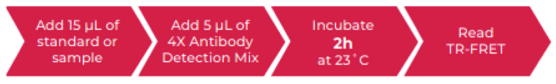 THUNDER™ Human IFNγ TR-FRET Biomarker Assay Kit