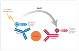 THUNDER™ Human IL-6 TR-FRET Biomarker Assay Kit