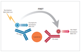 THUNDER™ Human IL-8 TR-FRET Biomarker Assay Kit
