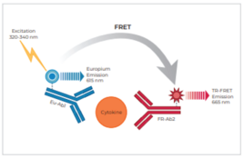 THUNDER™ Human IL-11 TR-FRET Biomarker Assay Kit