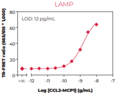 THUNDER™ Human CCL2/MCP1 TR-FRET Biomarker Assay Kit (C-C Motif Chemokine 2, MCAF, Monocyte Chemotactic and Activating Factor, Monocyte Chemoattractant Protein-1)